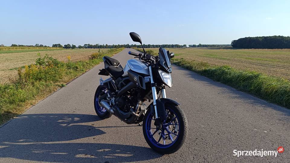 Yamaha MT125 2015r Zadbana Doinwestowana 125cm3 lubelskie Żółkiewka-Osada