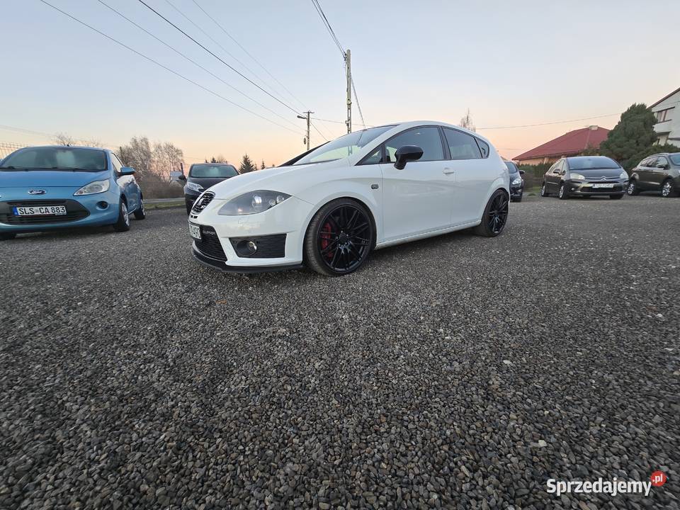 Seat Leon Cupra świętokrzyskie Ostrowiec Świętokrzyski