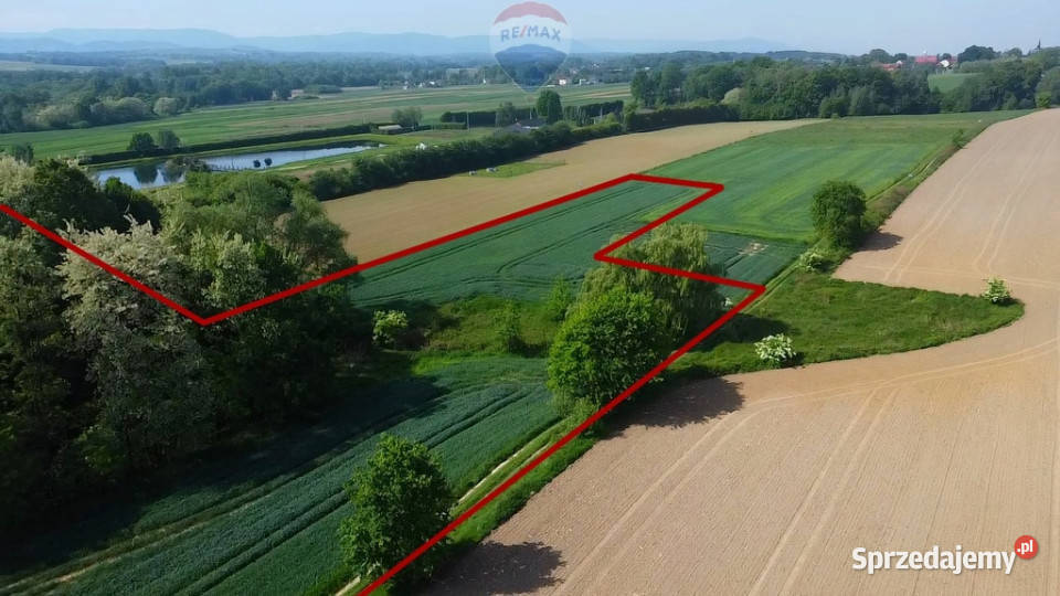 Działka z lasem i widokiem na góry 4 ha 580m Sprzedaż sprzedam