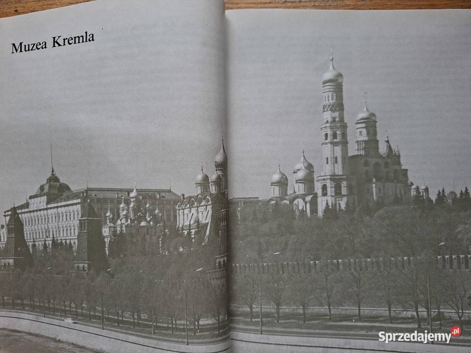 Skarby sztuki w Moskwie Borys Brodski Arkady Kraków sprzedam