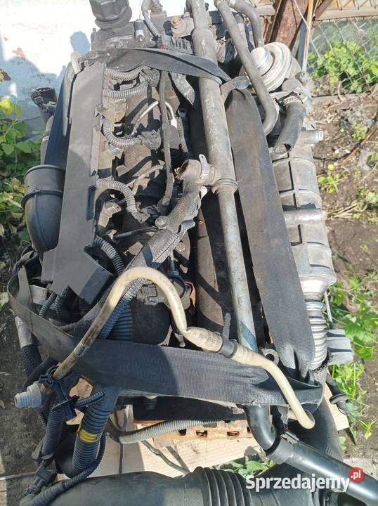 Ducato Jumper Boxer III silnik kompletny 30 Lublin