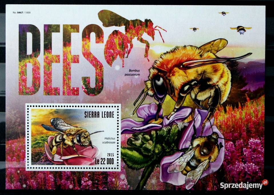 Sierra Leone pszczoły Oborniki