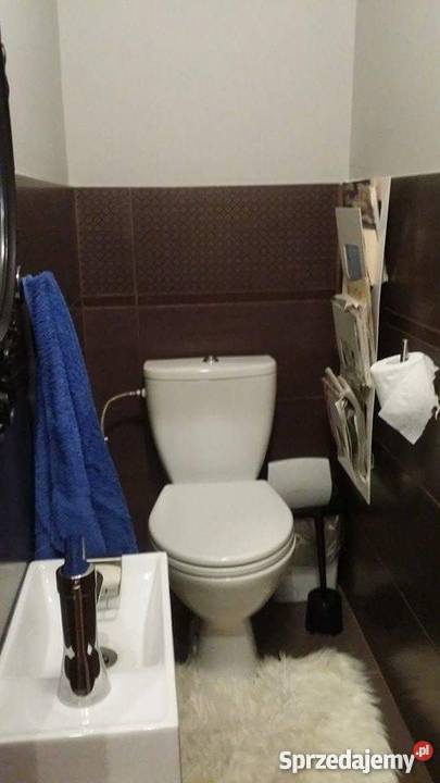 Odstąpię mieszkanie Sosnowiec Bór internet