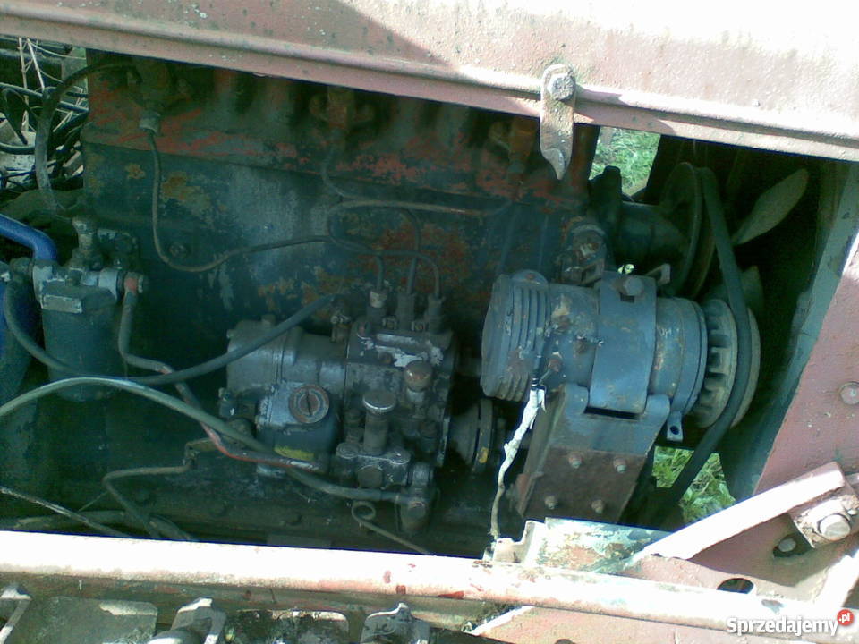 spychacz mazur mazurek Stara Kiszewa