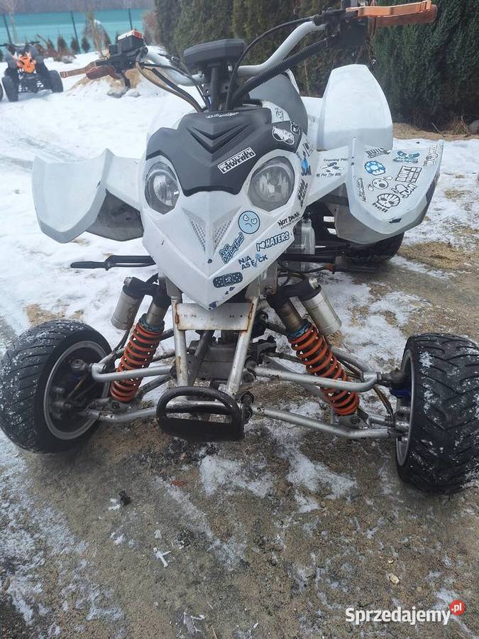 Quad 300 cc