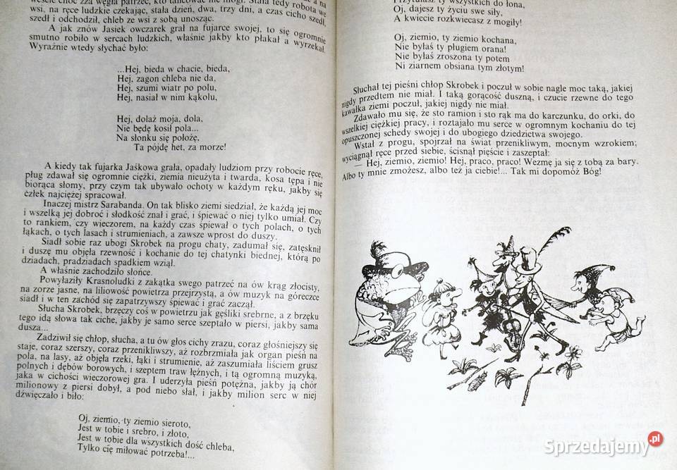 O krasnoludkach i o sierotce Marysi Maria Chełm