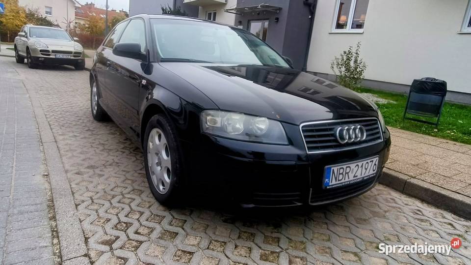 Audi A3 8P 2003 1.6mpi GAZ