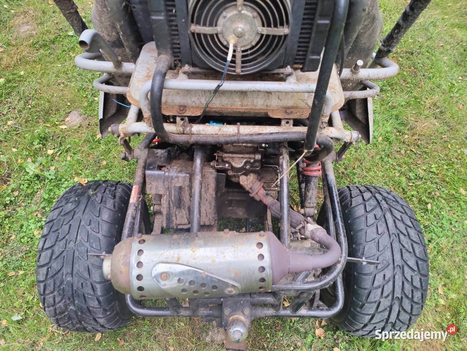 Buggy 250 Poniaty Wielkie