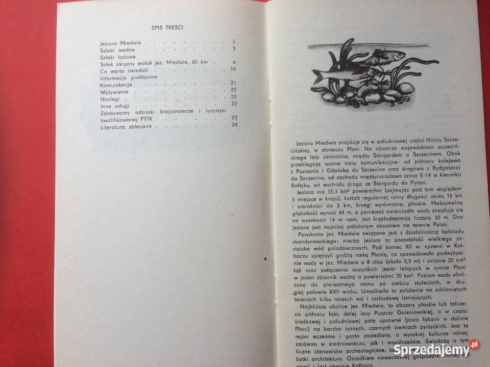 536 Jezioro Miedwie Antykwariat sprzedam