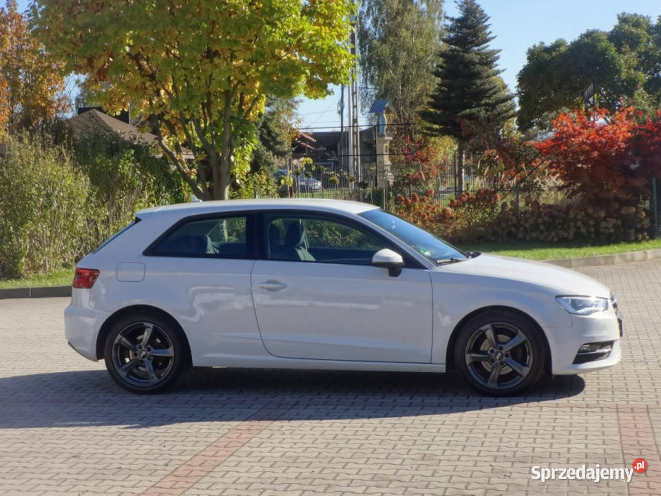 Audi A3 Navi Xenon 8V 2012 150KM A3 Nowy Sącz