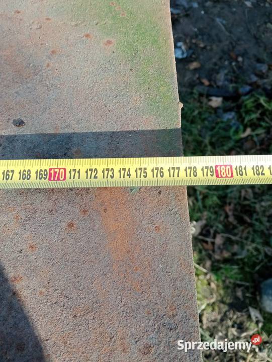 Heblarka grubościówka Wielkolas