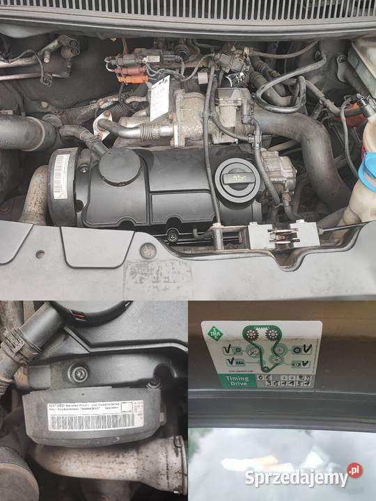 VW T5 19 TDI Caravelle Transporter 8 osobowy Zielona Góra