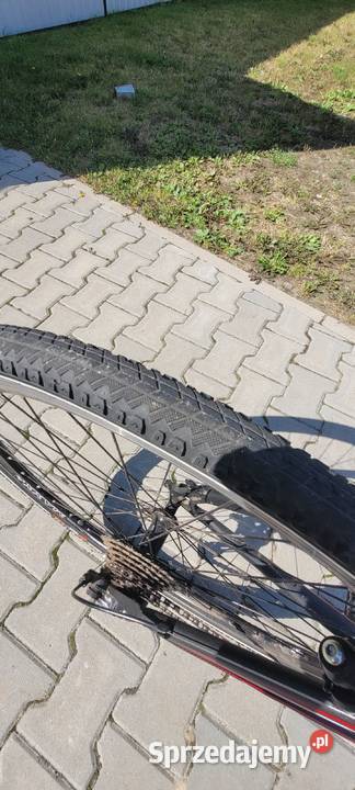 Sprzedam rower Kands Maestro Gostyń