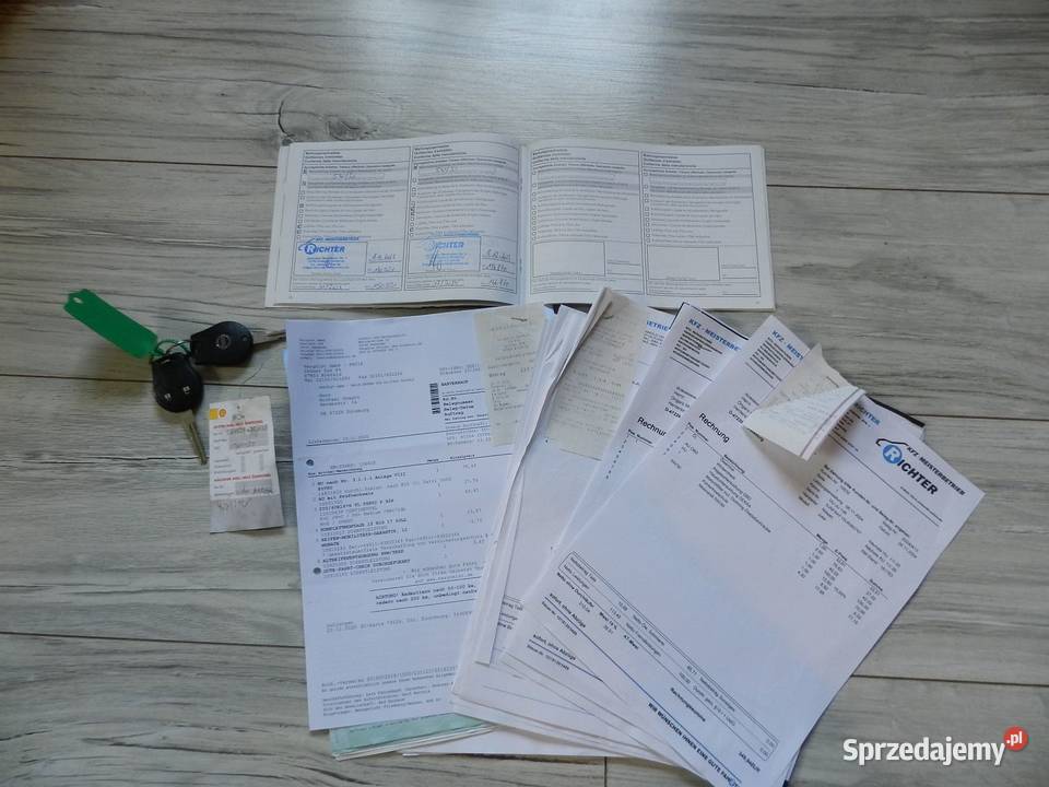 Nissan Juke Serwisowany 1 Właściciel Oryginalny Puszczykowo