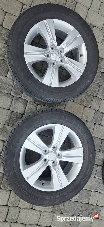 Nokian Tyres Wetproof SUV 22560r17