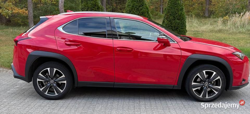 Lexus UX200 Buisness 1Właściciel Salon Polska Pogorzelica