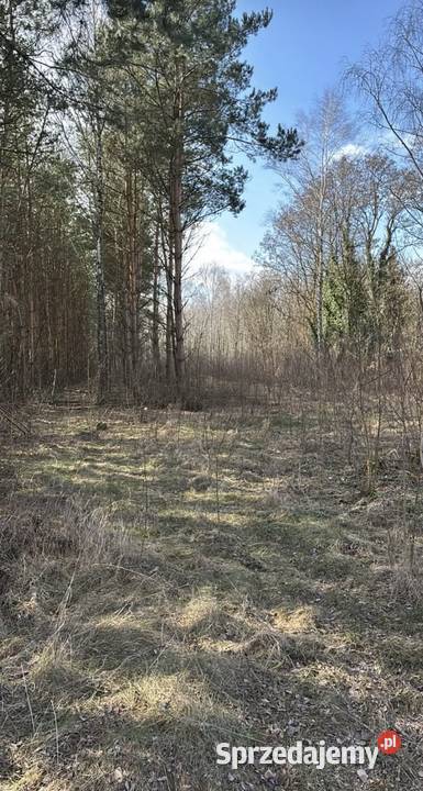 Sprzedam działkę Ostrów