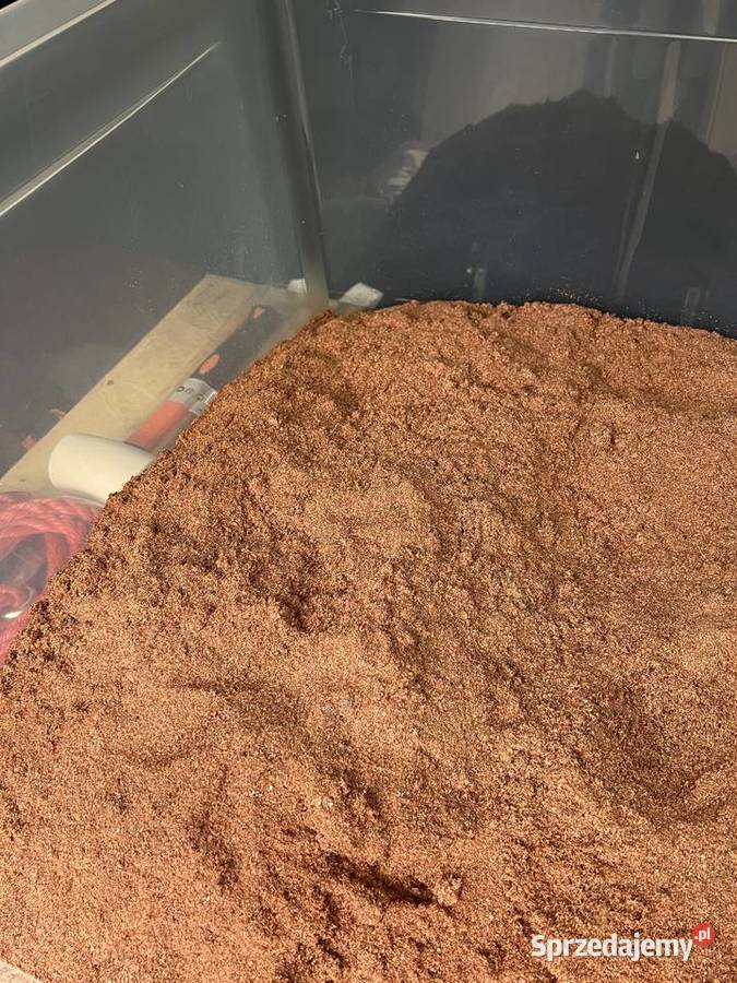 Linia do recyklingu kabli i wiązek elektrycznych śląskie Pszów