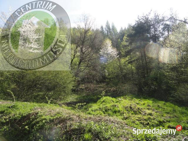 Grunt 13400m2 RoztokaBrzeziny Roztoka-Brzeziny