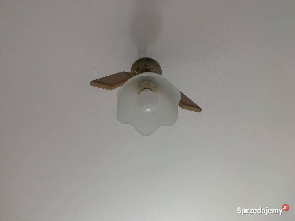 Lampa sufitowalampy sufitowe z drewnem 2 sztuki podkarpackie Jasło