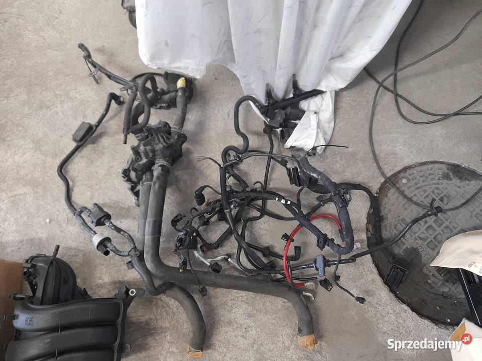 Kolektor sący vw polo 10 mpi