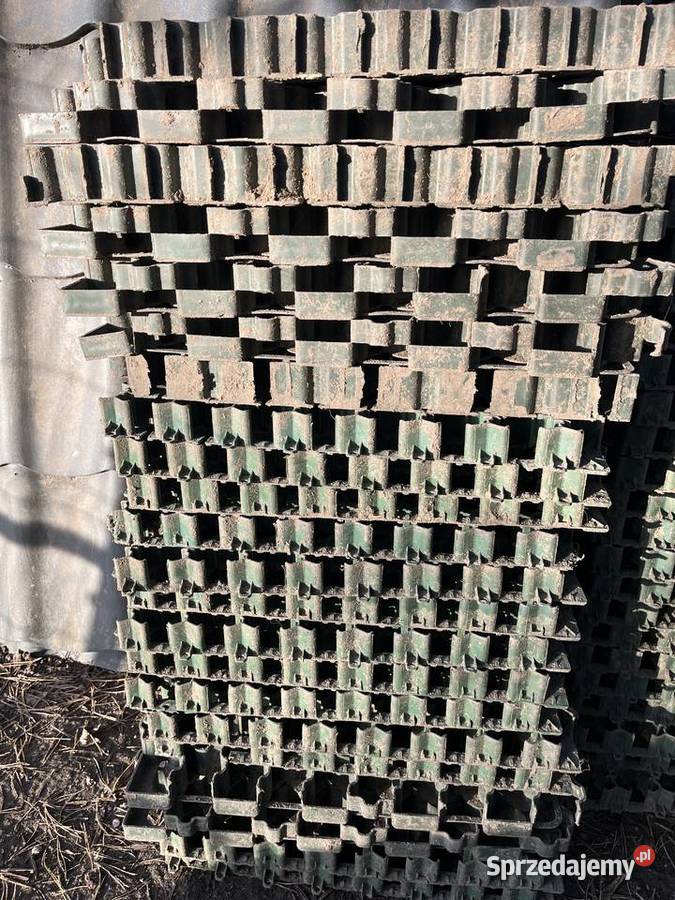 Geokratka Kratka trawnikowa ogrodowa Ożarów Mazowiecki