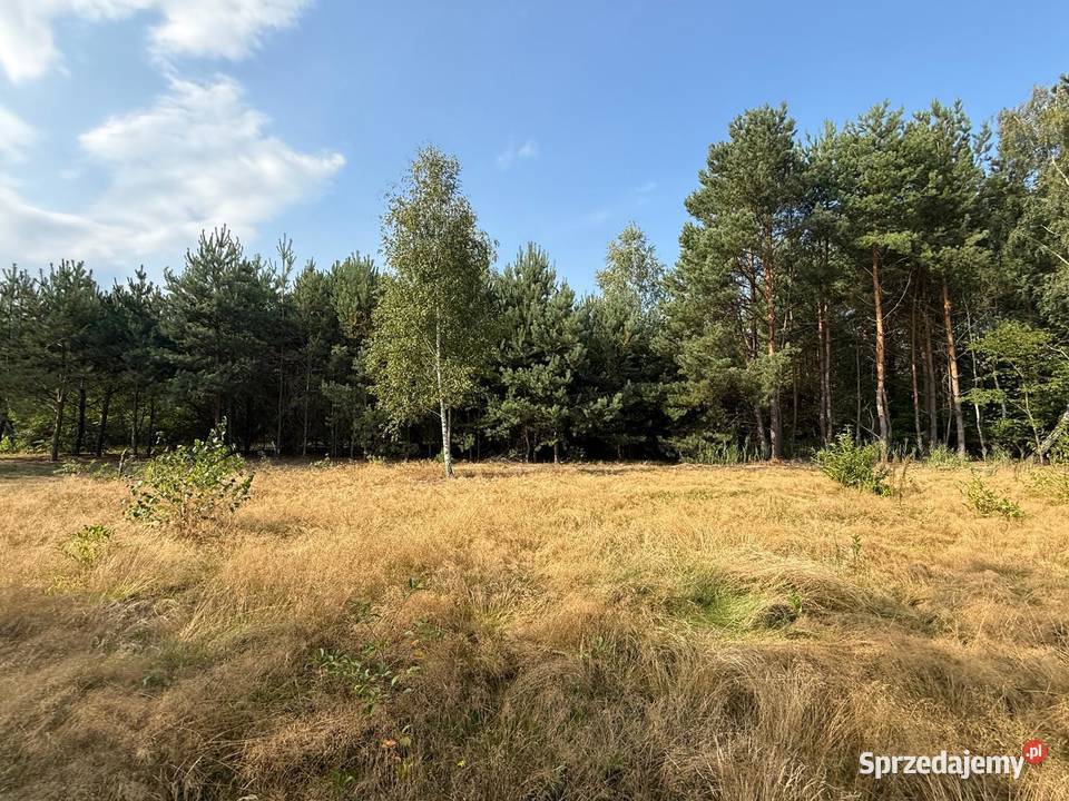 Działka z dostępem do jeziora Sumino Gorzewo