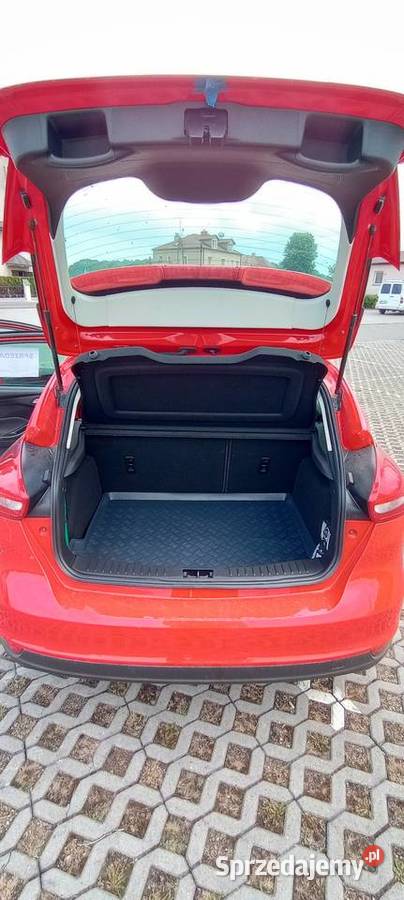 Ford Focus 16 B Trend podkarpackie Ocieka