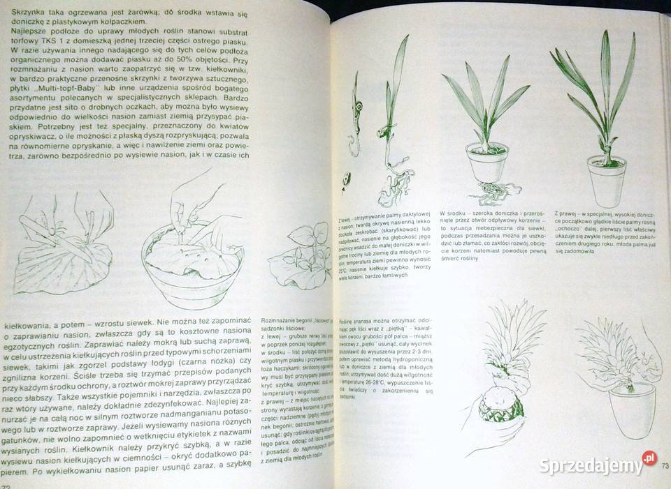 Mieszkamy wśród kwiatów Margot Schubert Rob