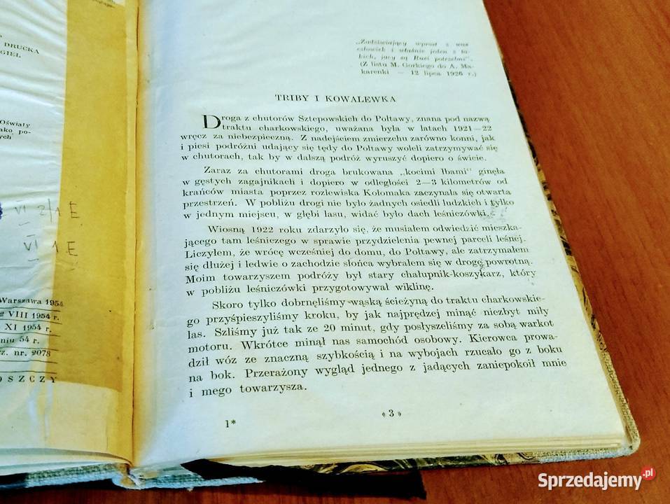 Mój nauczyciel A Makarenko Mikołaj Fere