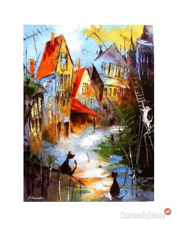 Kowalik Koty VIII 50x40 obraz olejny mazowieckie Warszawa