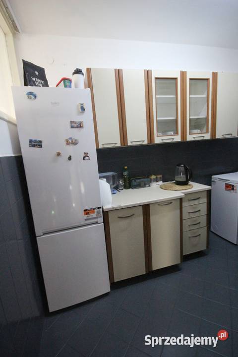 2pok 39met Ogrodu Botaniczego PIWNICAWINDA Nieruchomości dolnośląskie Wrocław