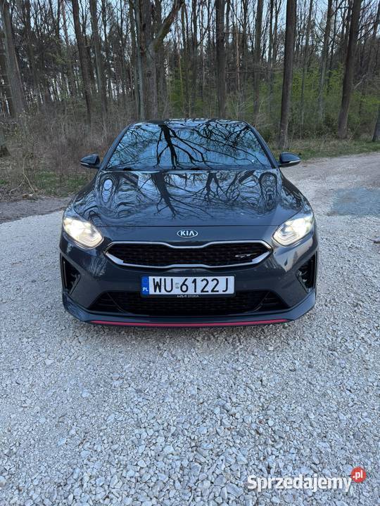 Kia ProCeed Rok produkcji 2019 Sulejówek