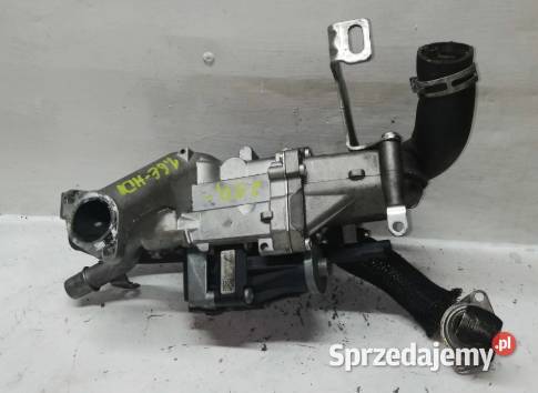 Chłodnica Spalin Peugeot 16 EHDI VP9PLH19206AF Motoryzacja Suchedniów