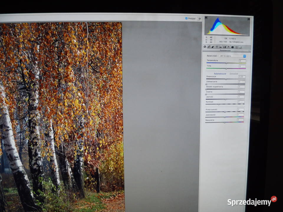 Apple iMac Core i5 27 27 Mysz oryginalna Pilot Elektronika Radzewice