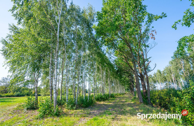 Działka budowlana 552m2 urokliwa i spokojna Darłowo sprzedam