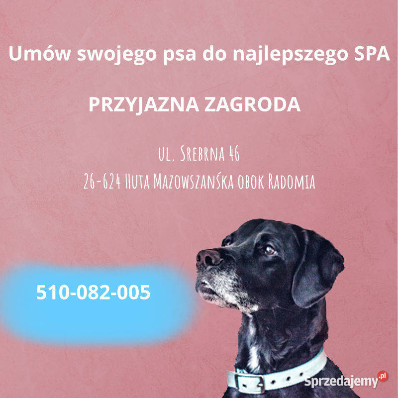 Salon groomerski psi fryzjer kąpiel strzyżenie Huta Mazowszańska