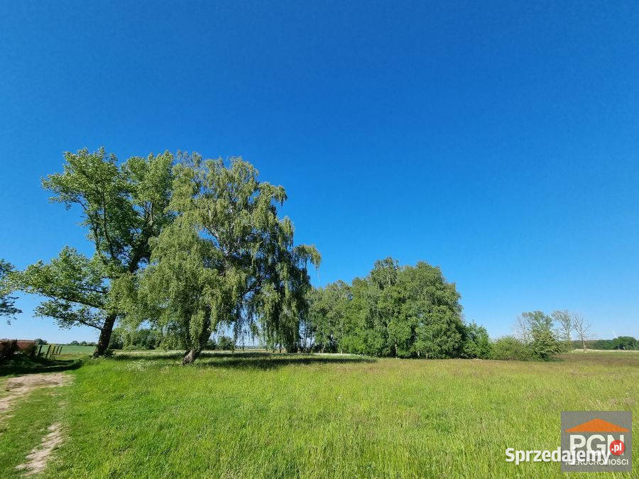 Działka Strzeżewo 14112m2