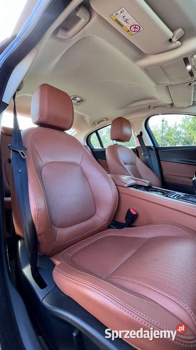 Jaguar XE wielkopolskie