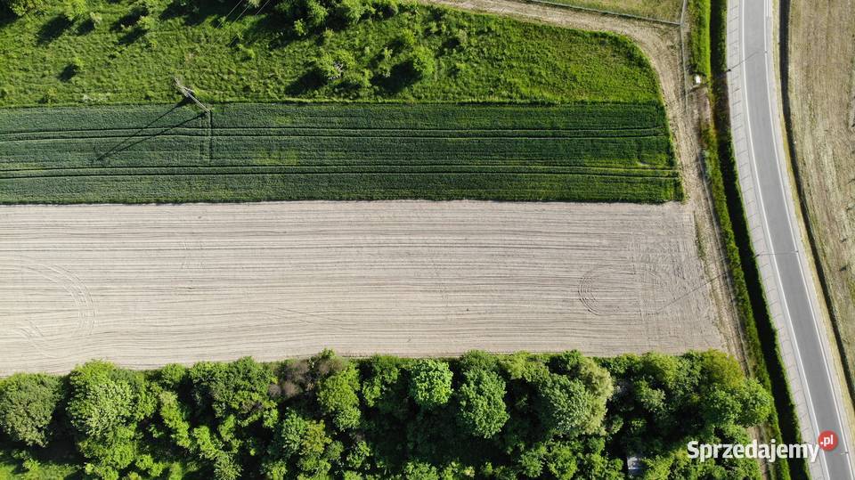 Inwestycyjna działka w Iłży budowlana Sprzedaż Iłża