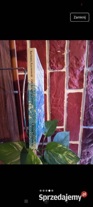 Bartłomiej Kaczorowski Zabytki Starego Lwowa Bydgoszcz sprzedam