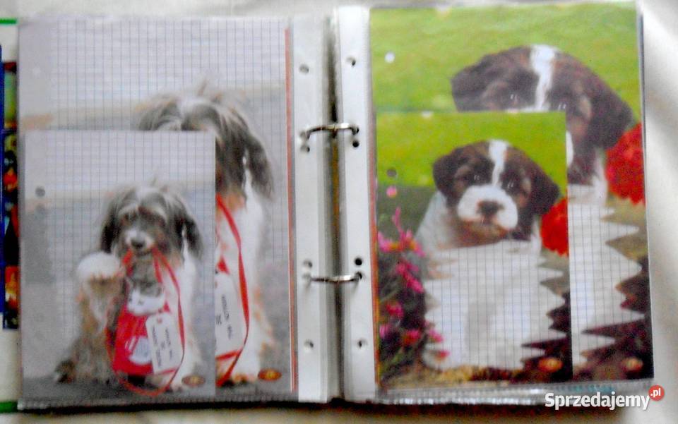 Karteczki do segregatora Lata 90te ponad 200 lubelskie Biała Podlaska