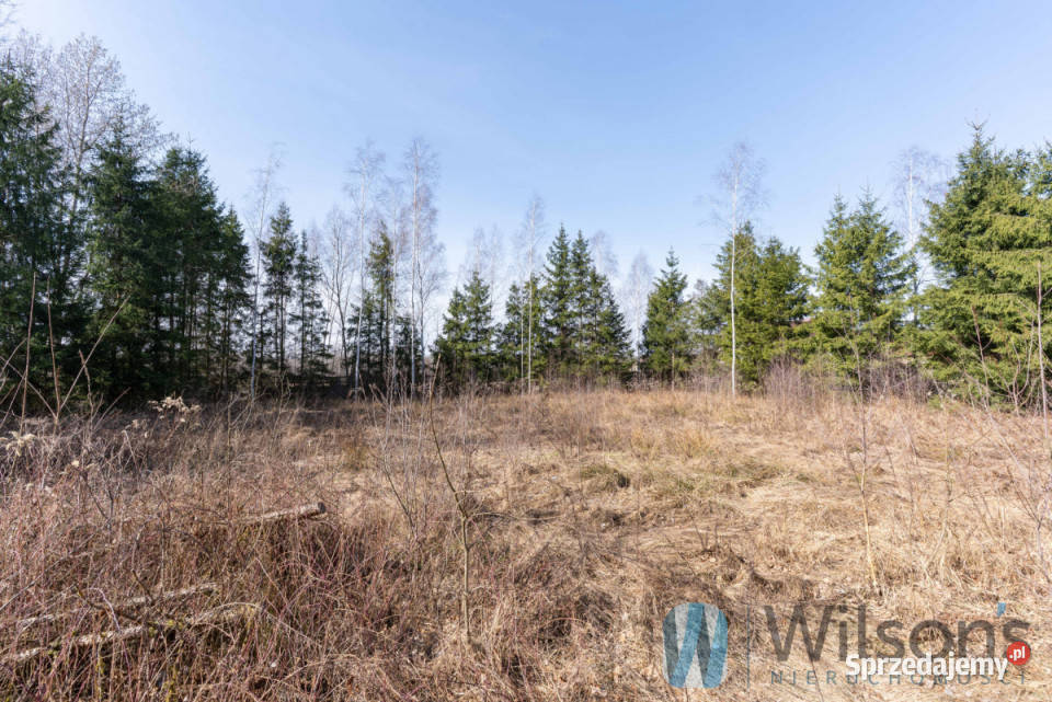 sprzedaży działki 2215m2 Ciopan utwardzona