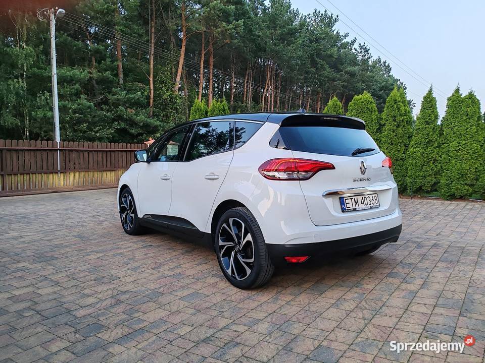 Scenic iv 2020r ABS Kolonia Zawada