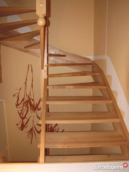 Stolarz oferuje domki drewniane schode i inne pomorskie Kartuzy