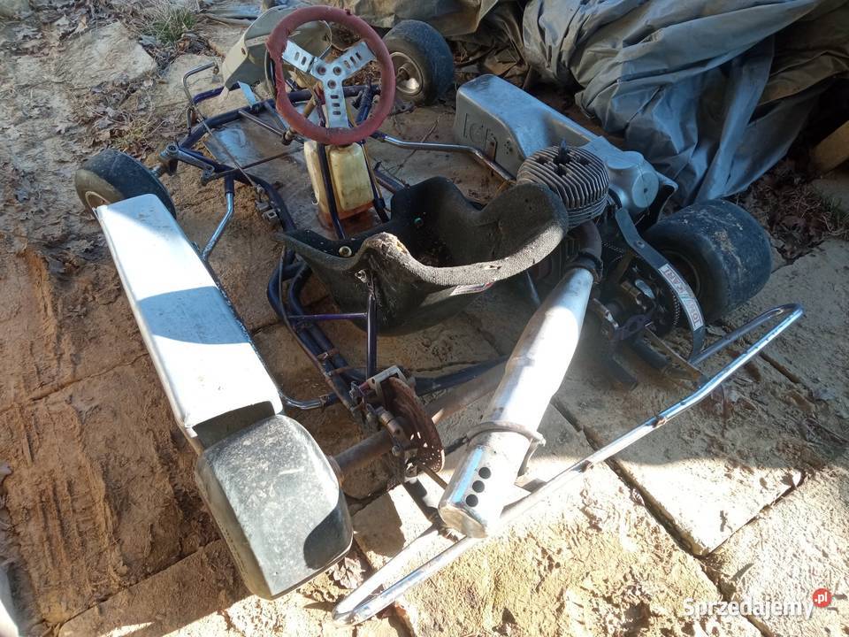 Sprzedam gokart 125 rotax 2t sprawny