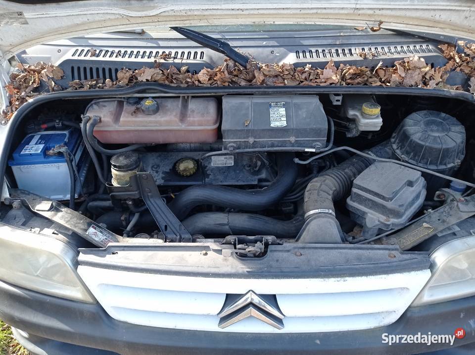 Citroen Jumper 28 HDi 94 kW 2005 r dawca części wielkopolskie Szklarka Myślniewska sprzedam