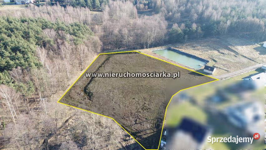 sprzedaży działki 6870m2 Wodzisław Śląski Sprzedaż