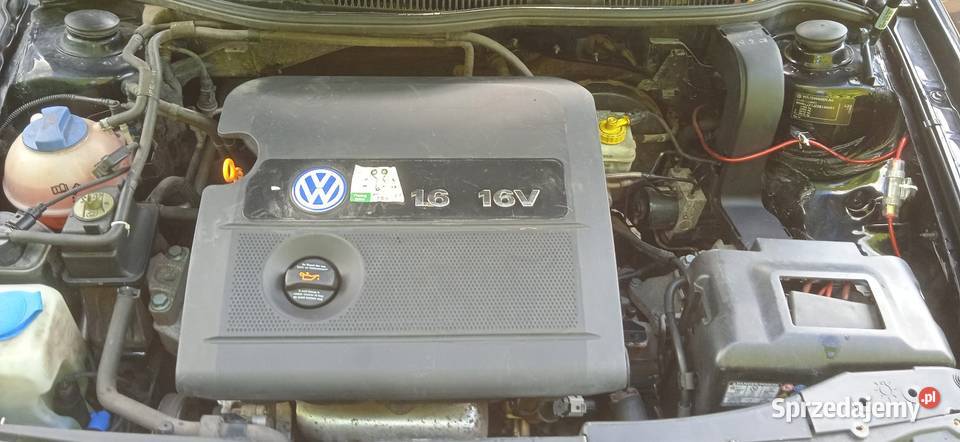 GOLF 4 16 BENZYNA komputer pokładowy kujawsko-pomorskie Chełmża sprzedam