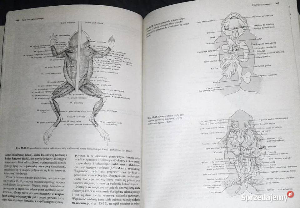 Biologia Claude A Villee Chełm sprzedam